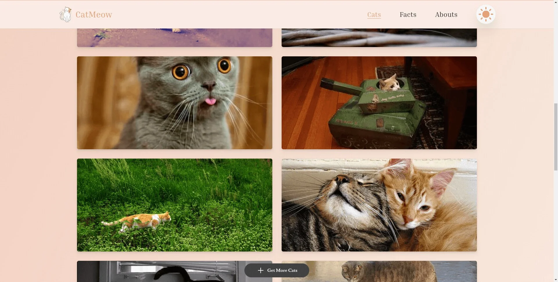 Page of CatMeow website showing some cat images